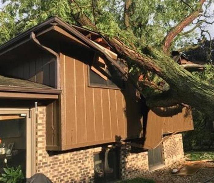 Tree Damage at Kankakee County Residence